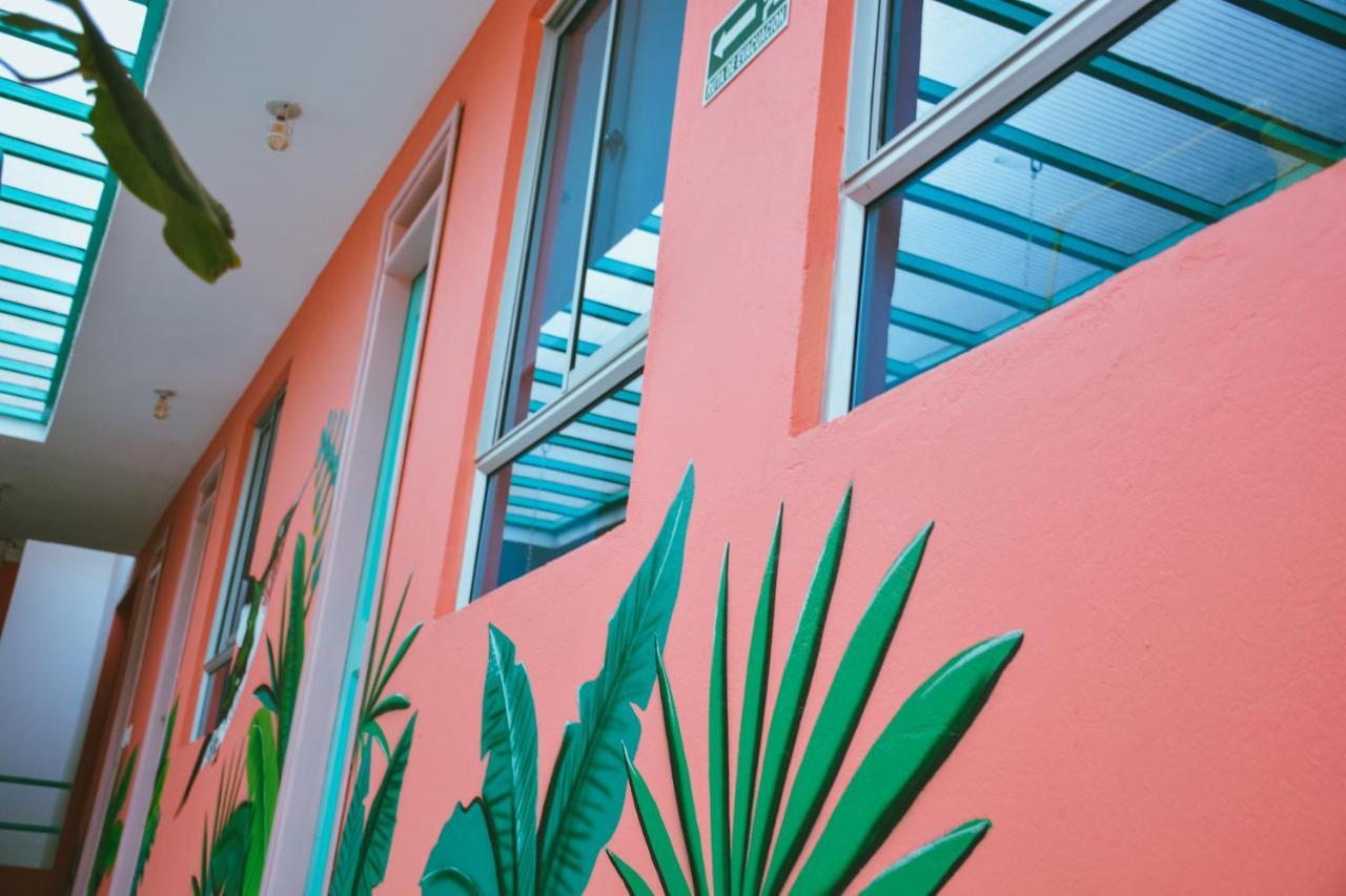 Flamingo Hostel & Coworking ซันตามาร์ตา ภายนอก รูปภาพ