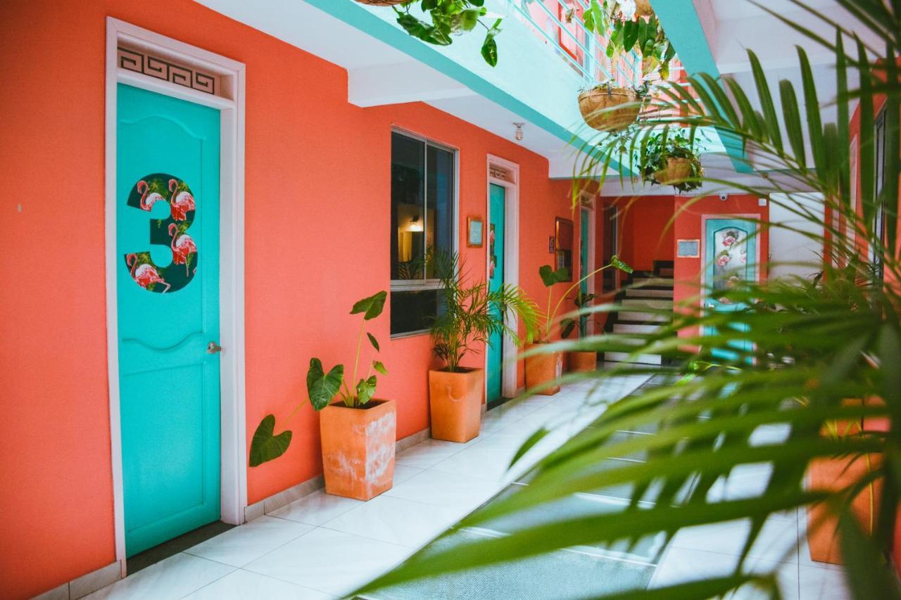 Flamingo Hostel & Coworking ซันตามาร์ตา ภายนอก รูปภาพ