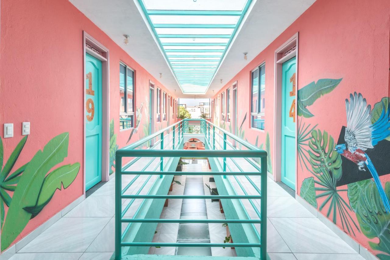 Flamingo Hostel & Coworking ซันตามาร์ตา ภายนอก รูปภาพ