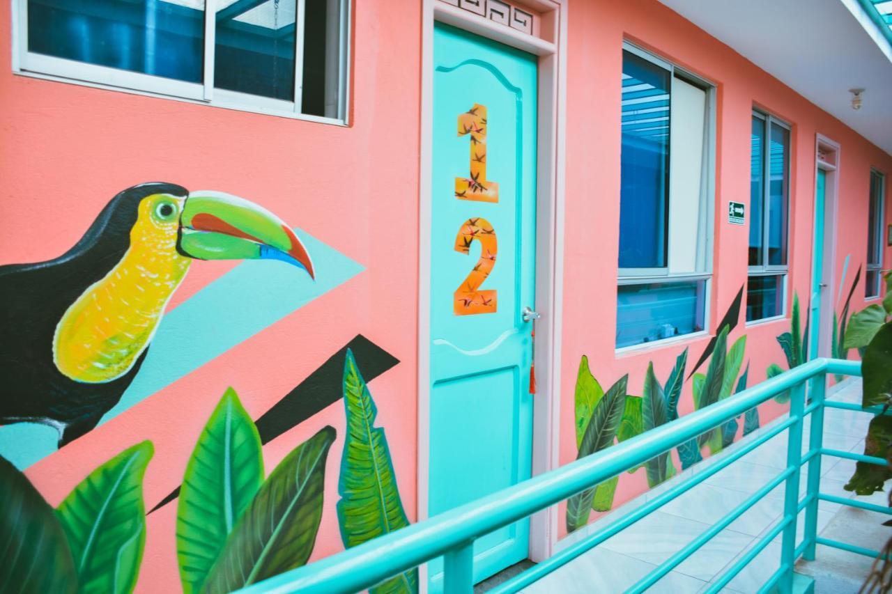 Flamingo Hostel & Coworking ซันตามาร์ตา ภายนอก รูปภาพ