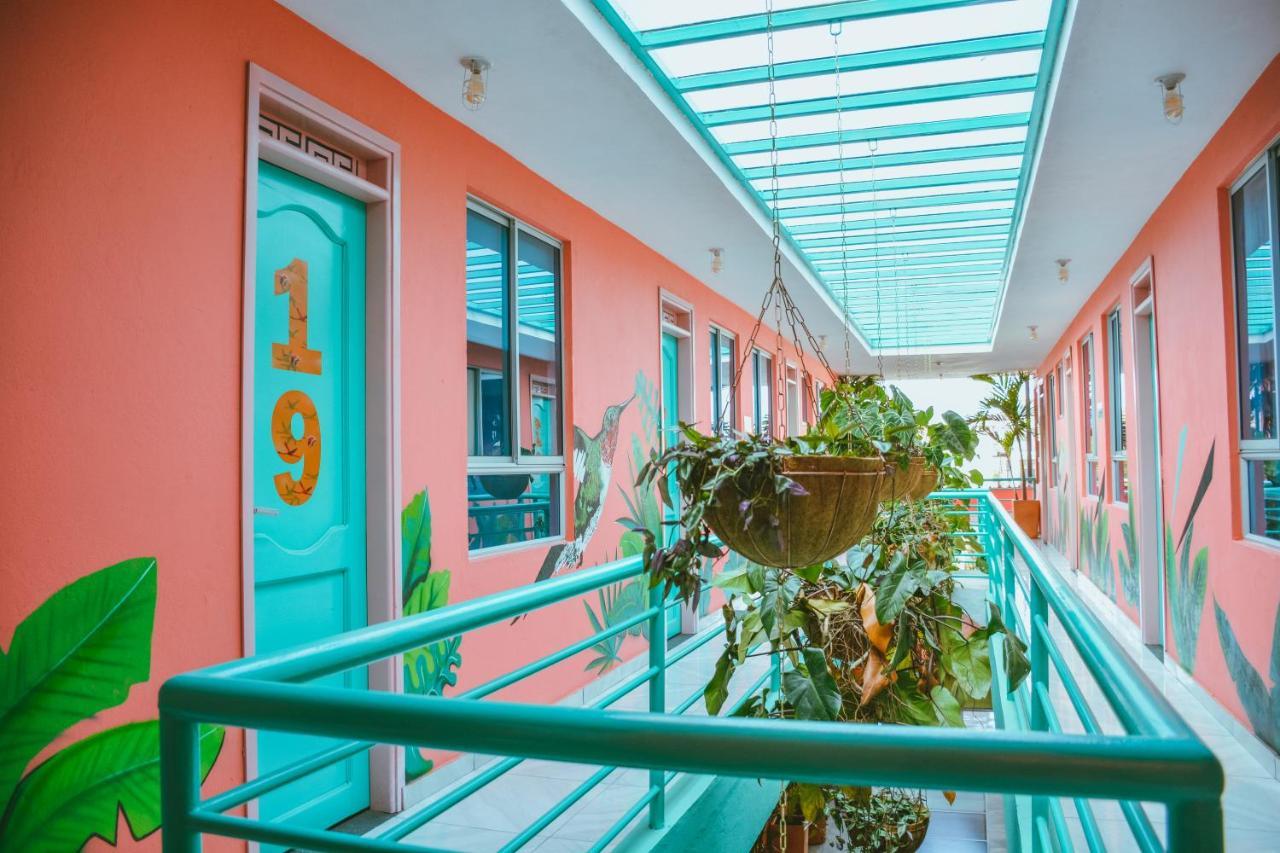 Flamingo Hostel & Coworking ซันตามาร์ตา ภายนอก รูปภาพ