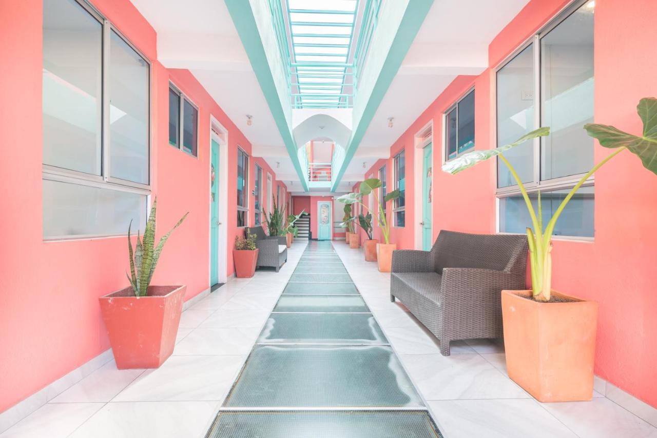 Flamingo Hostel & Coworking ซันตามาร์ตา ภายนอก รูปภาพ