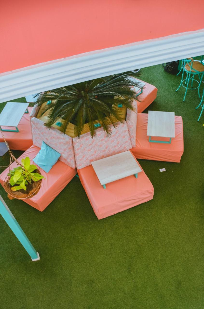 Flamingo Hostel & Coworking ซันตามาร์ตา ภายนอก รูปภาพ