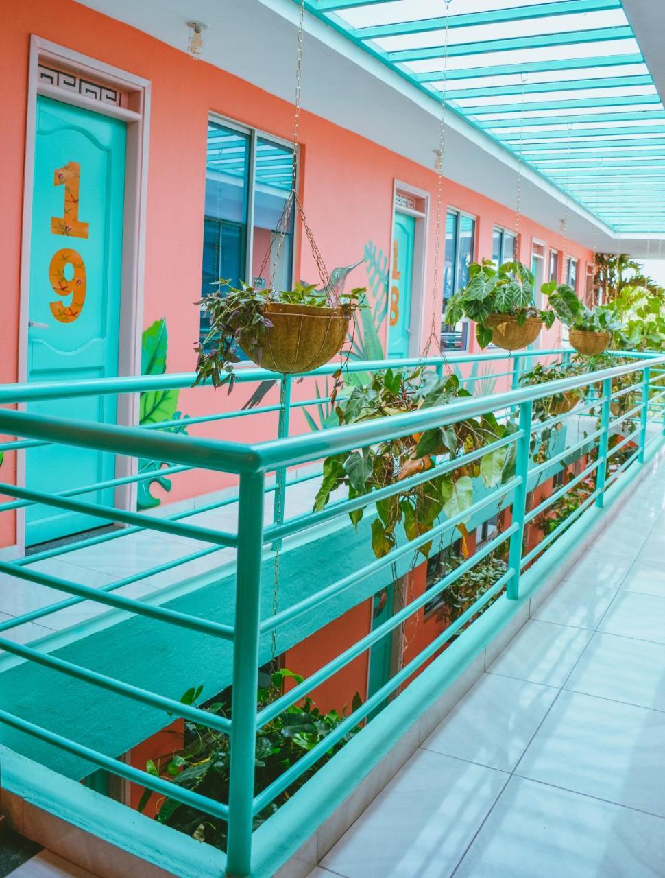 Flamingo Hostel & Coworking ซันตามาร์ตา ภายนอก รูปภาพ