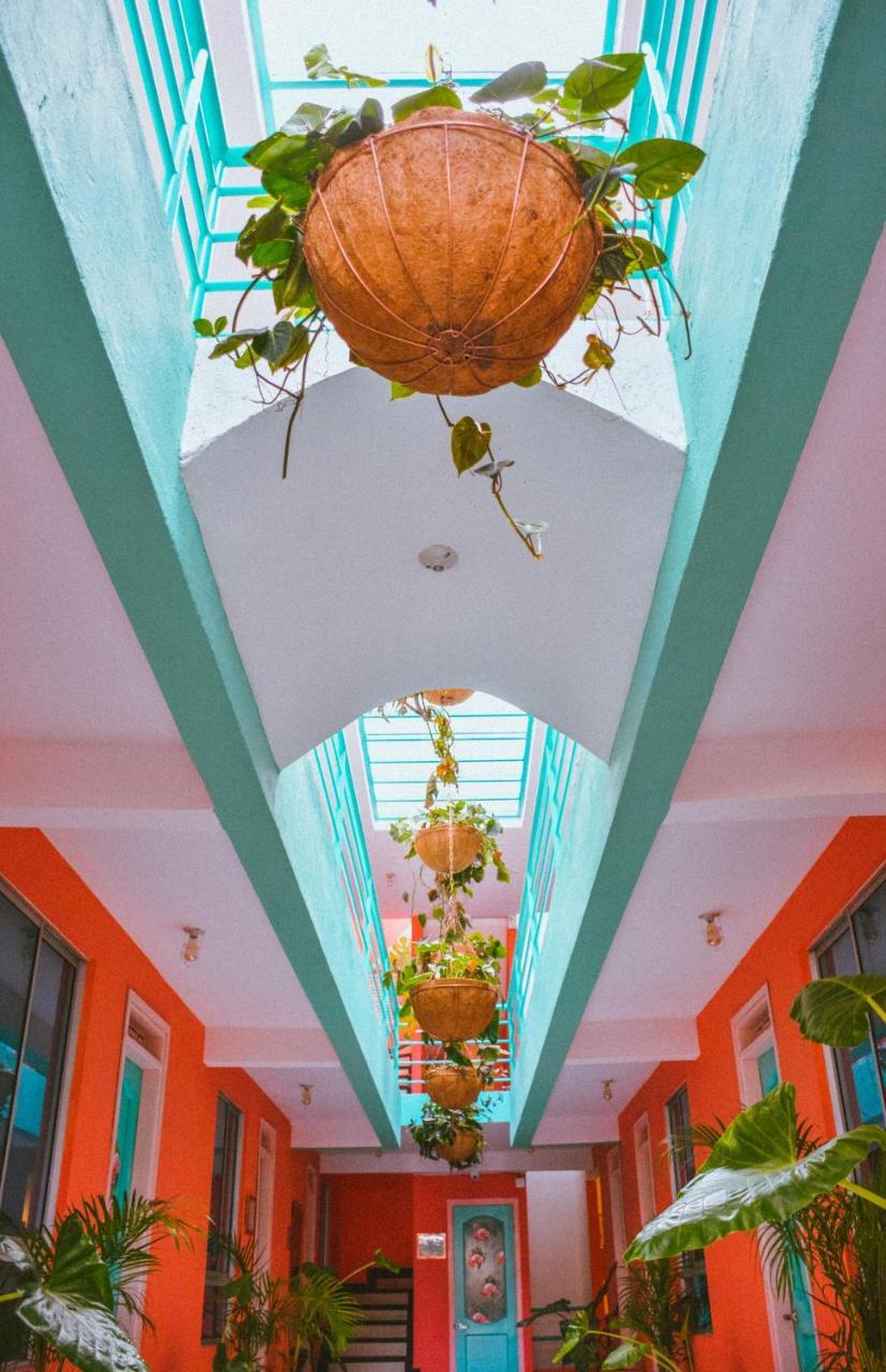 Flamingo Hostel & Coworking ซันตามาร์ตา ภายนอก รูปภาพ