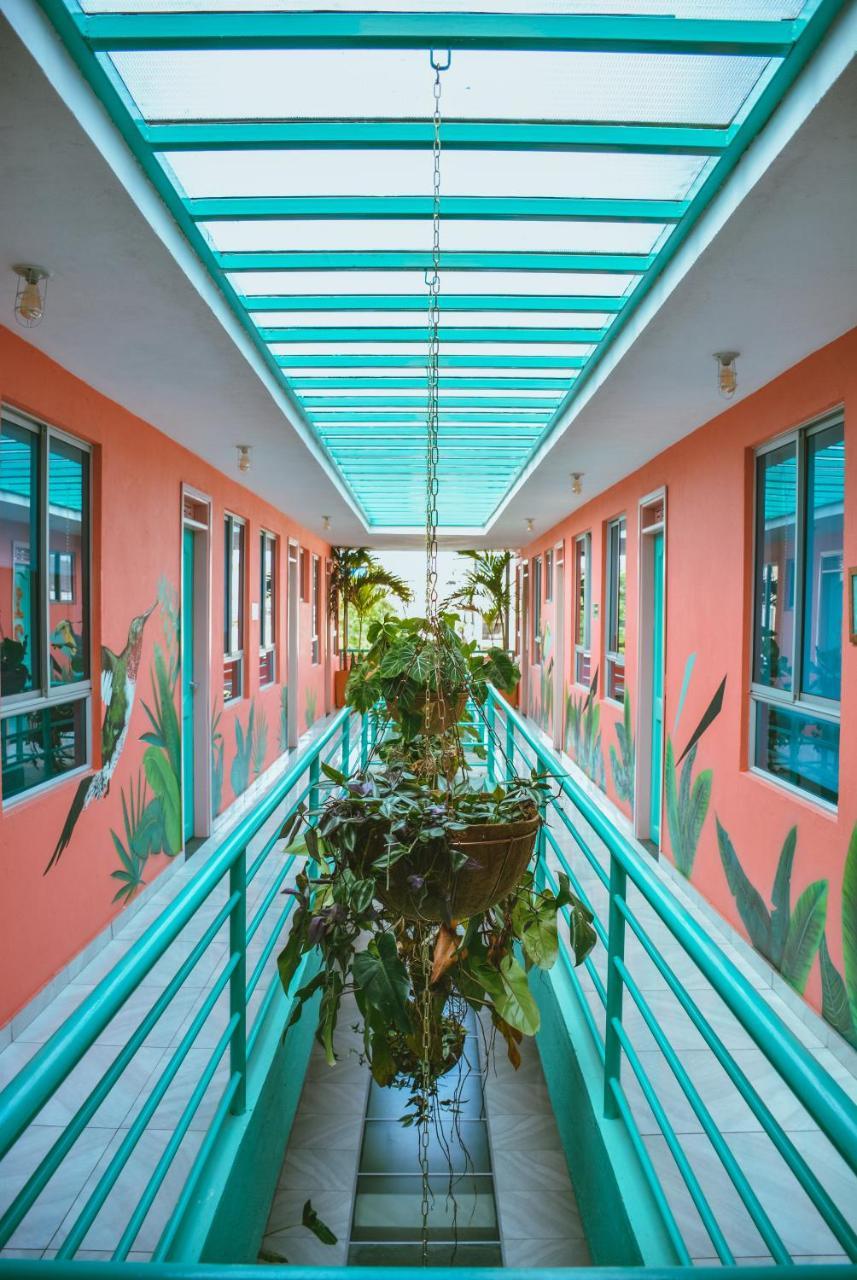 Flamingo Hostel & Coworking ซันตามาร์ตา ภายนอก รูปภาพ