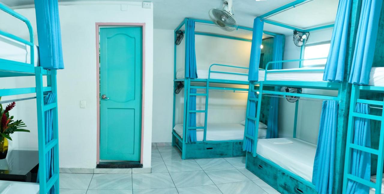 Flamingo Hostel & Coworking ซันตามาร์ตา ภายนอก รูปภาพ
